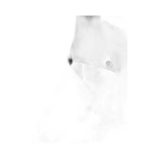Mm6 Maison Margiela Zip-Up Belted Jacket