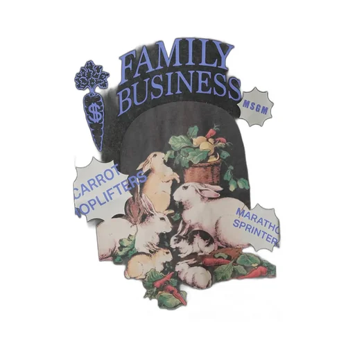 Msgm Family Business Print T-Shirt
