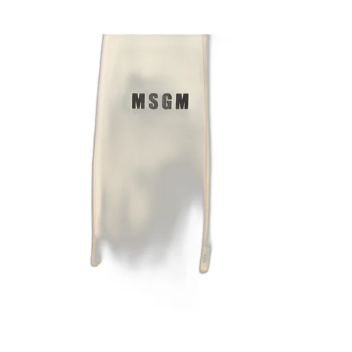 Msgm Logo Printed Hoodie