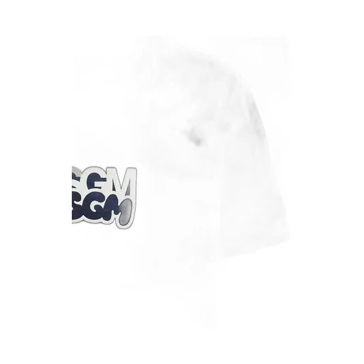 Msgm Tie-Dyed Crewneck T-Shirt