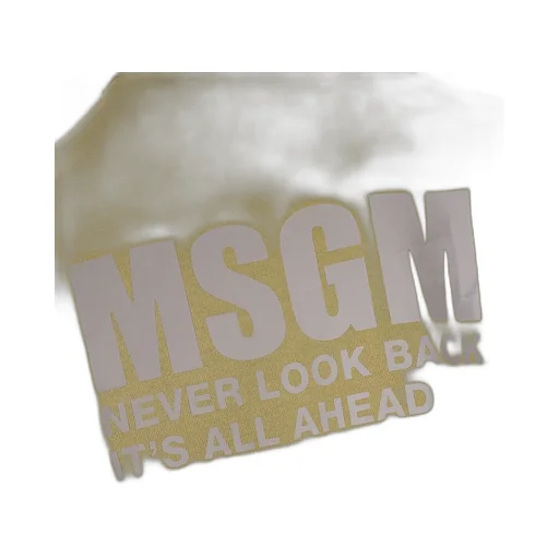 Msgm Logo Printed Crewneck Sweatshirt