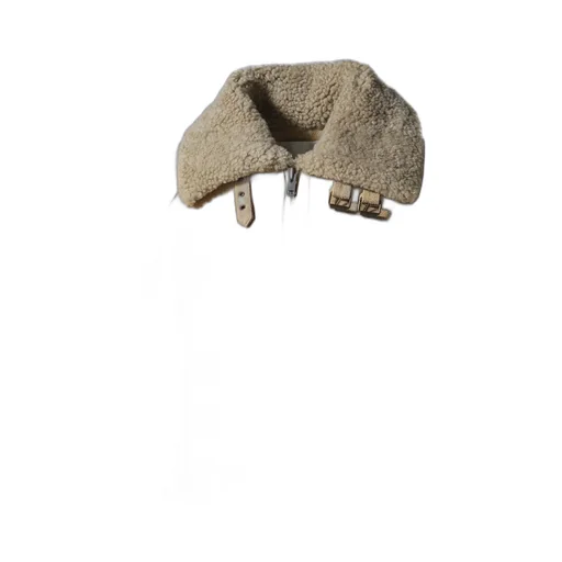 01 Shearling Jacket / Camel
