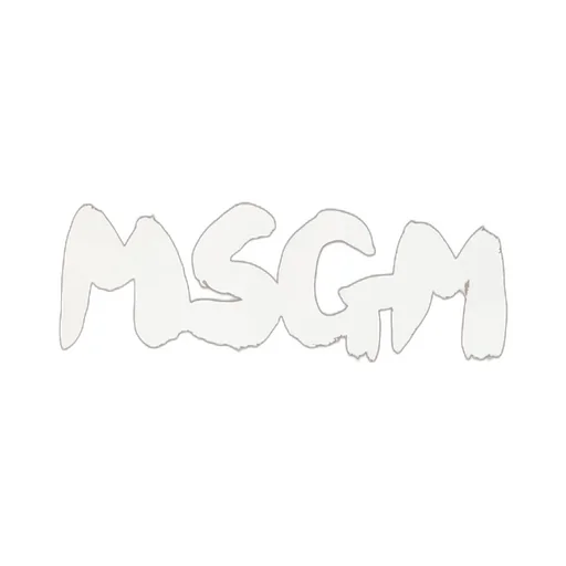 Msgm Logo Printed Drawstring Hoodie