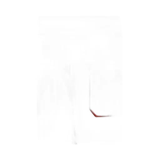 Sse Logo Sweat Shorts / Red