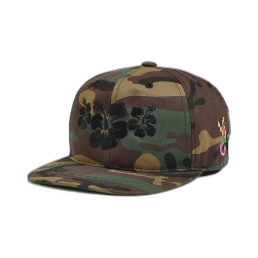 Oasis Snapback / Camo