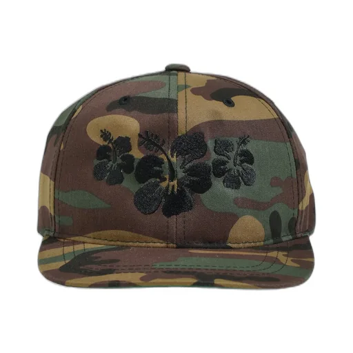 Oasis Snapback / Camo