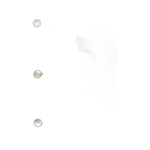 Maison Kitsuné Button-Up Trucker Jacket