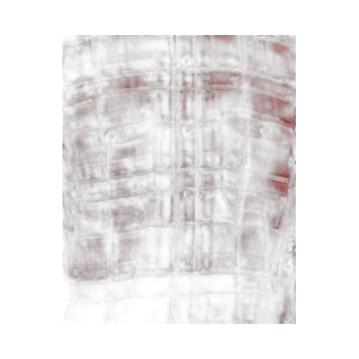 Levi's Jackson Worker Overshirt