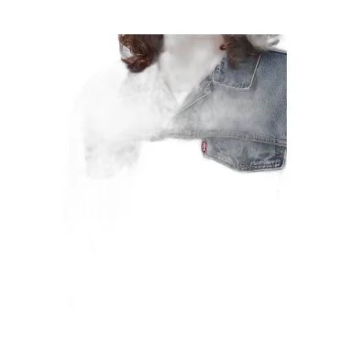 Levi's Classic Denim Trucker Jacket