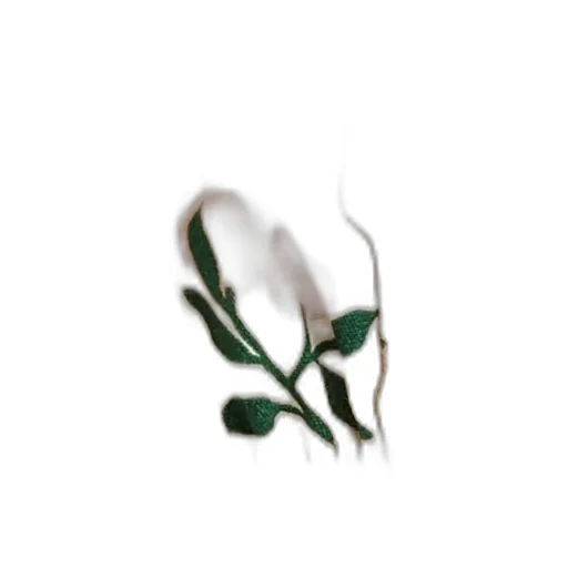 Liewood Floral Pattern Hat