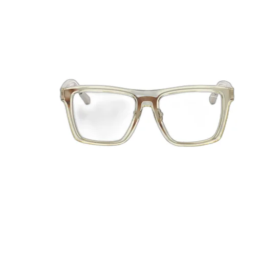 Linda Farrow X Kris Van Assche Square Frame Glasses