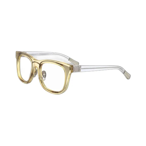 Linda Farrow X Kris Van Assche Square Frame Glasses