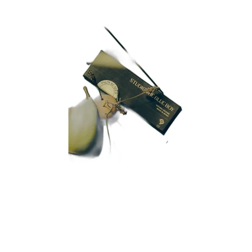 Natural Incense “Palm Reader” -10G- / Multi