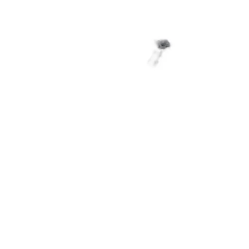 Lardini Single-Breasted Checked Blazer