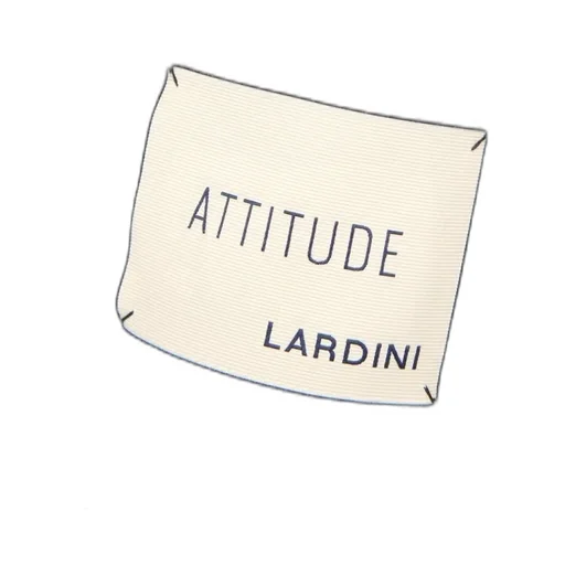 Lardini Elegant Chessed Suit