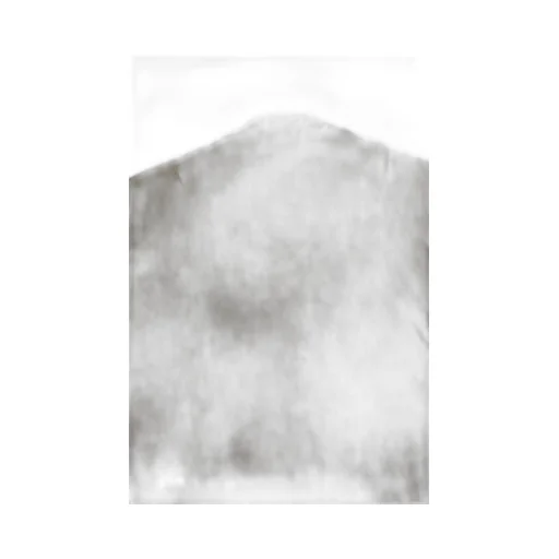 Newrich Slim Cropped Tee/Dust