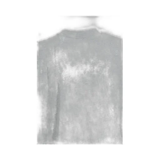 Brth Logo Tee / Gray