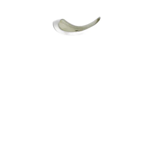 Newrich Slim Cropped Tee/Cre