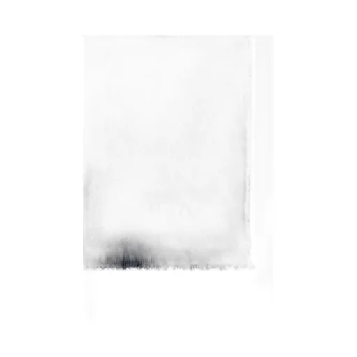 Lanvin Logo Embroidered Fringed Scarf