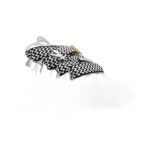 Lanvin X Future Curb 3.0 Low-Top Sneakers
