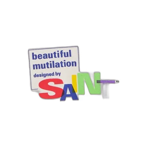Ls Tee/Beautiful Saint / Wht