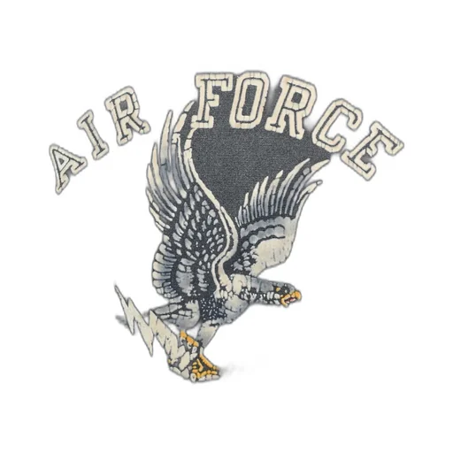 Us Air Force Eagle Sweatshirt Aged / Aged Blk
