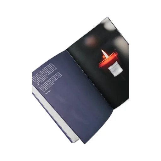 Photo Book The Smashing Pumpkins Fanzine / Multi