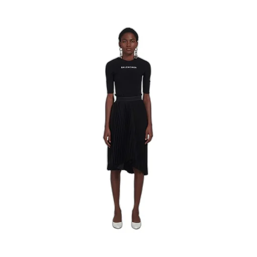 Fancy Pleated Skirt