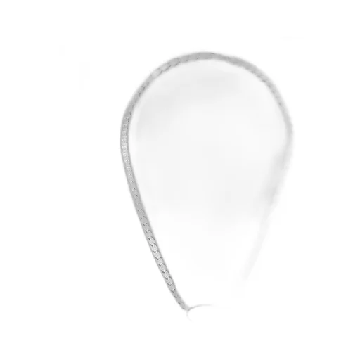 Trademark Chain Necklace With Tag