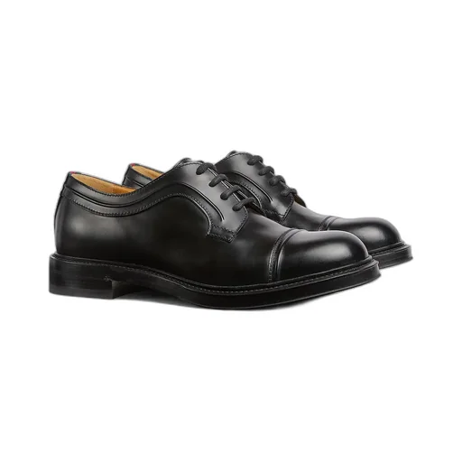 Lace-Up Shoe With Web