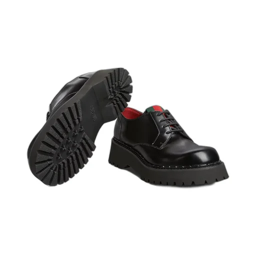 Lace-Up Shoe With Web