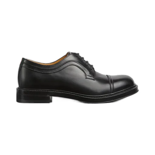 Lace-Up Shoe With Web