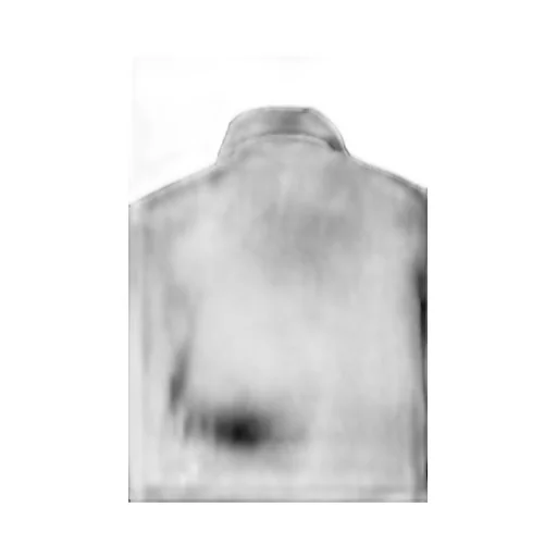 Polartec Collar Reversible Fleece / Blk