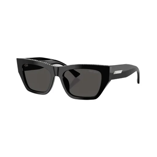 Jimmy Choo Eyewear Cat-Eye Frame Sunglasses