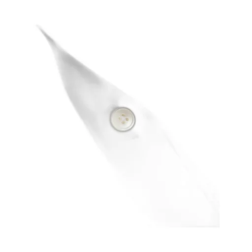 Jil Sander Buttoned Long-Sleeved Shirt