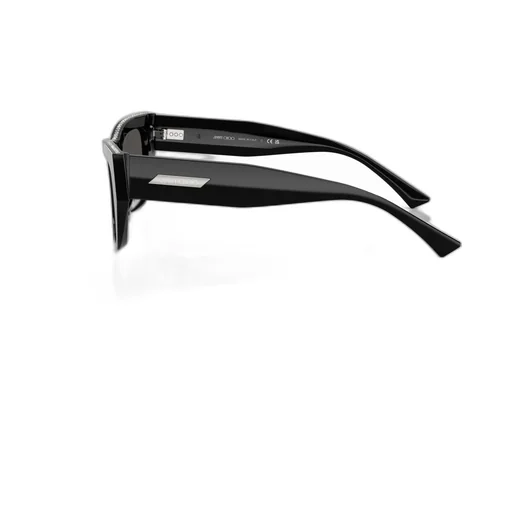 Jimmy Choo Eyewear Cat-Eye Frame Sunglasses