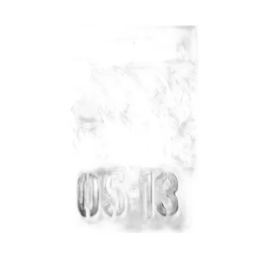 0045 T-Shirt / Wht