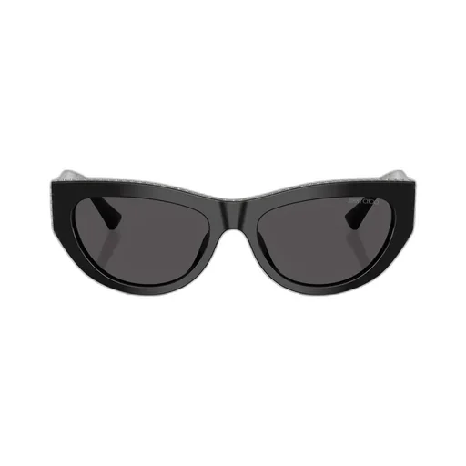 Jimmy Choo Eyewear Cat-Eye Frame Sunglasses