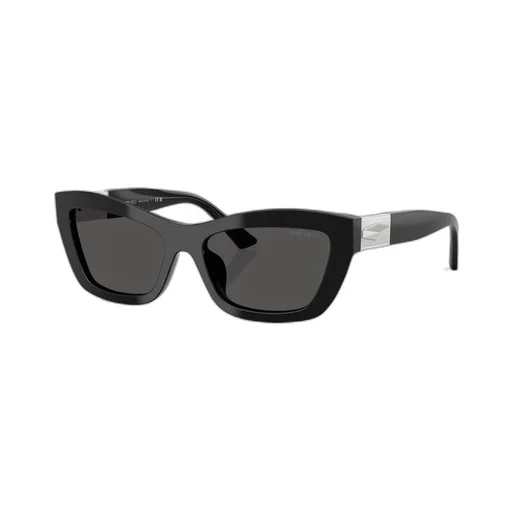 Jimmy Choo Eyewear Cat-Eye Frame Sunglasses