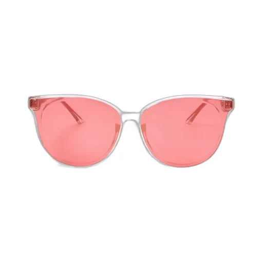 Jimmy Choo Eyewear Cat-Eye Frame Sunglasses
