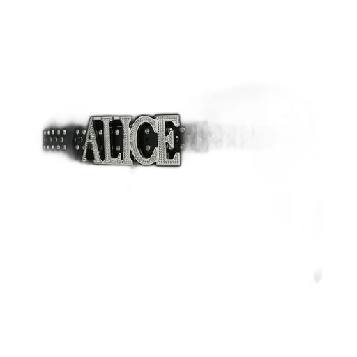 Atelier Glam Belt / Black
