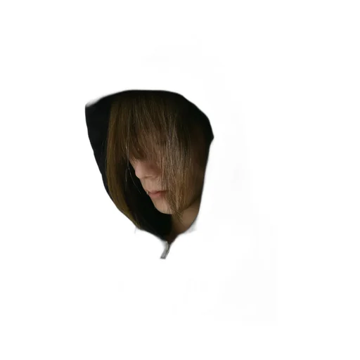 Polizei Fitted Zip-Up Hoodie / Blk