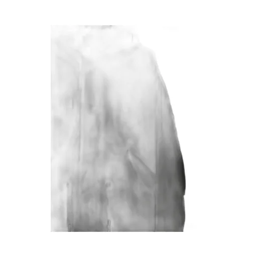 Junya Watanabe Man X C.P. Company Drawstring Parka