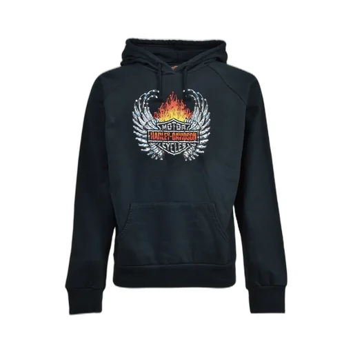 Missoula, Montana Hoodie / Black