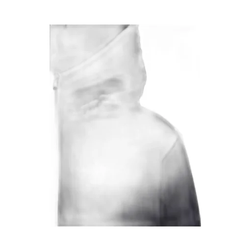 Jil Sander Hooded Down Jacket