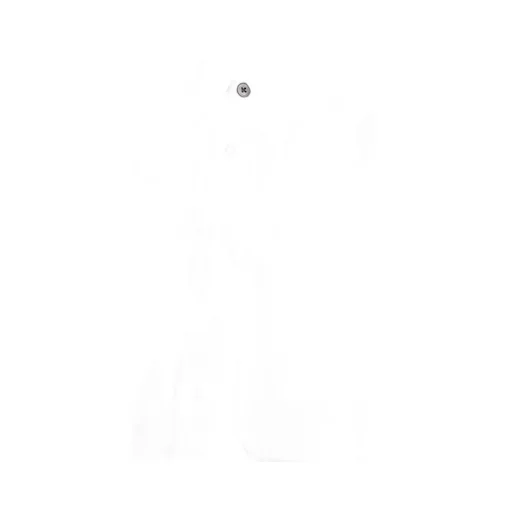 Jil Sander Buttoned Long-Sleeved Shirt