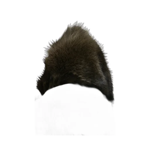 Coyote Fur Stole / Cha