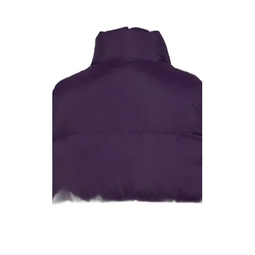 Tech Alpine Down Vest / Pur