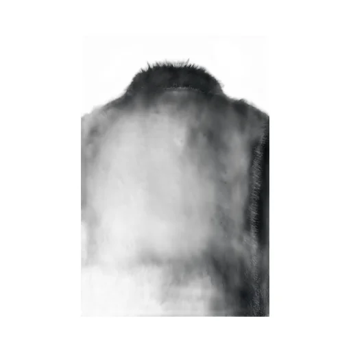Fur Jacket / Black
