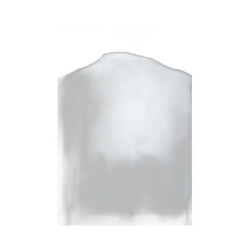 Fujimoto Face Tee / Wht